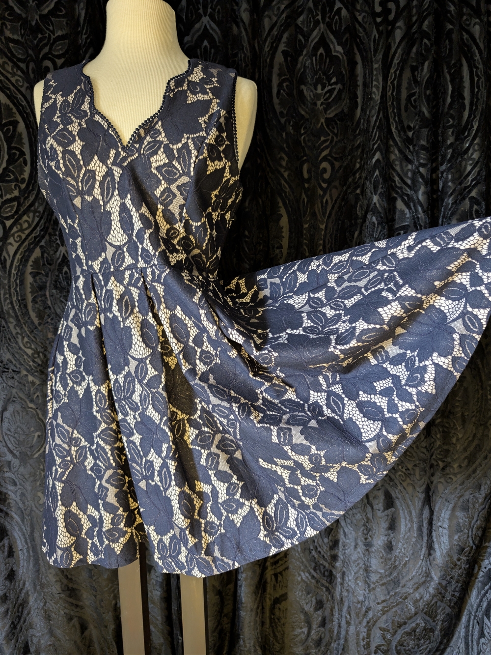 She + Sky Navy and Cream Lace Fit-and-Flare Mini Dress
